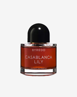 Casablanca Lily
