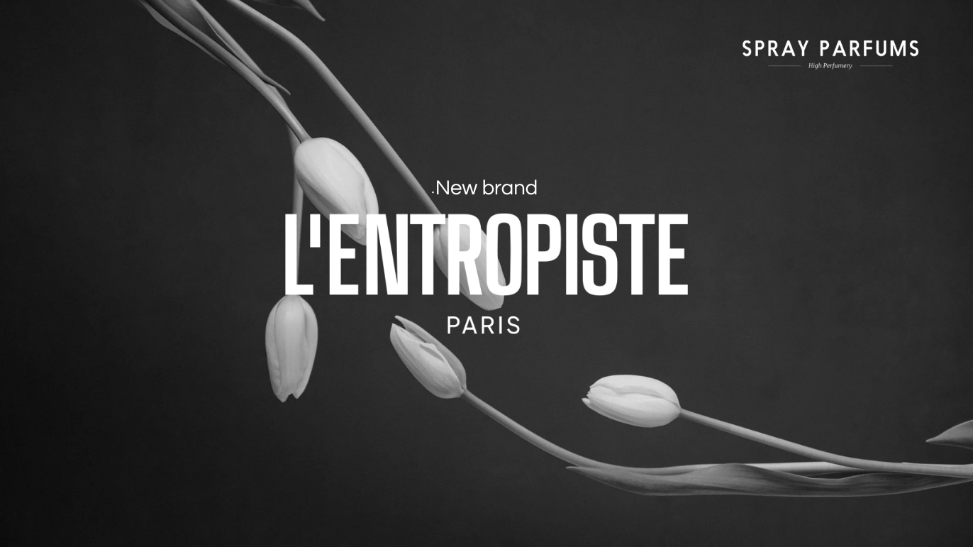 L'Entropiste è arrivato 💥