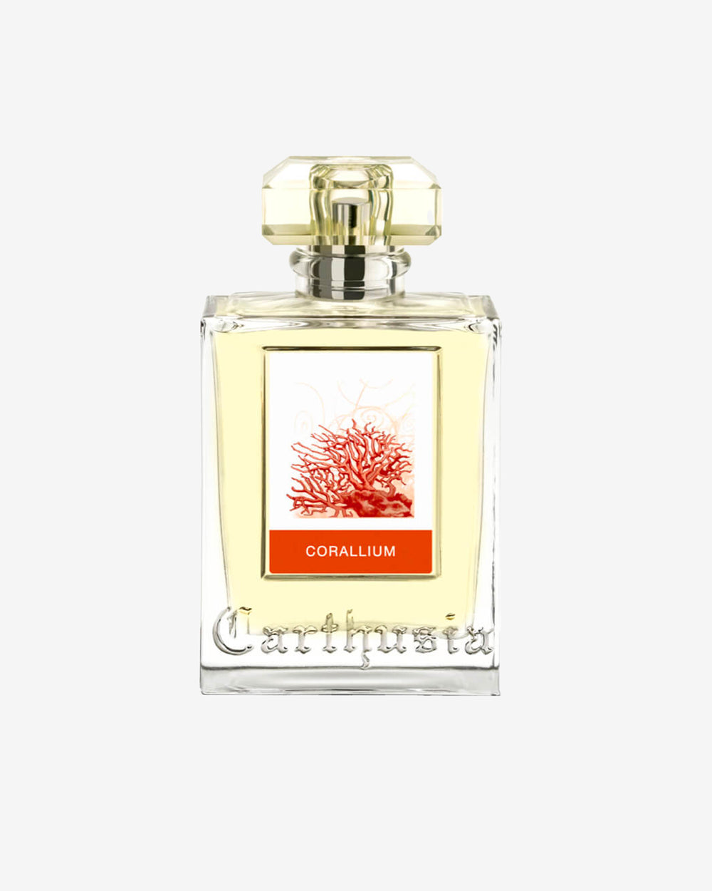 Corallium