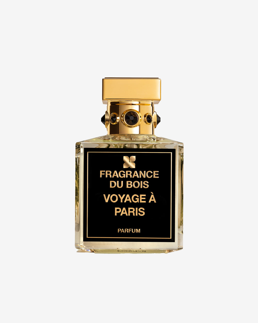 Voyage à Paris