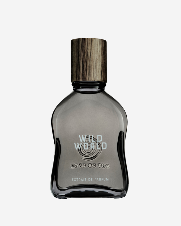 Wild World