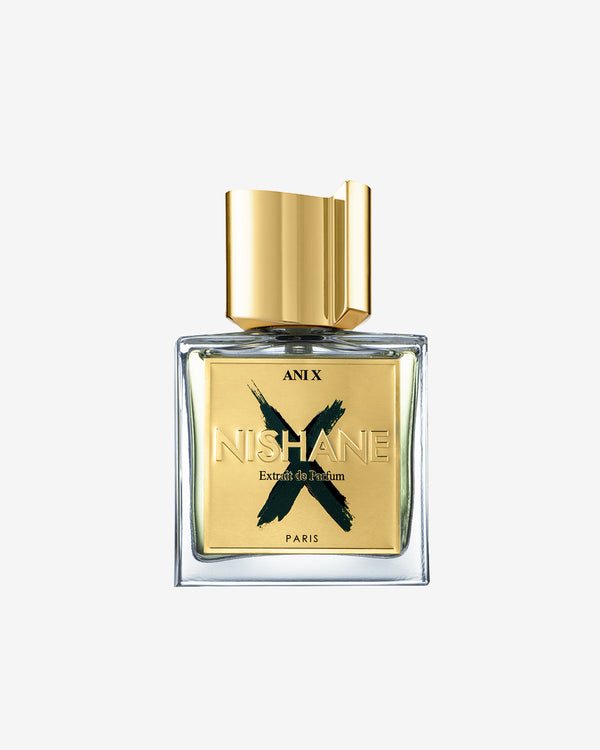 Anì X