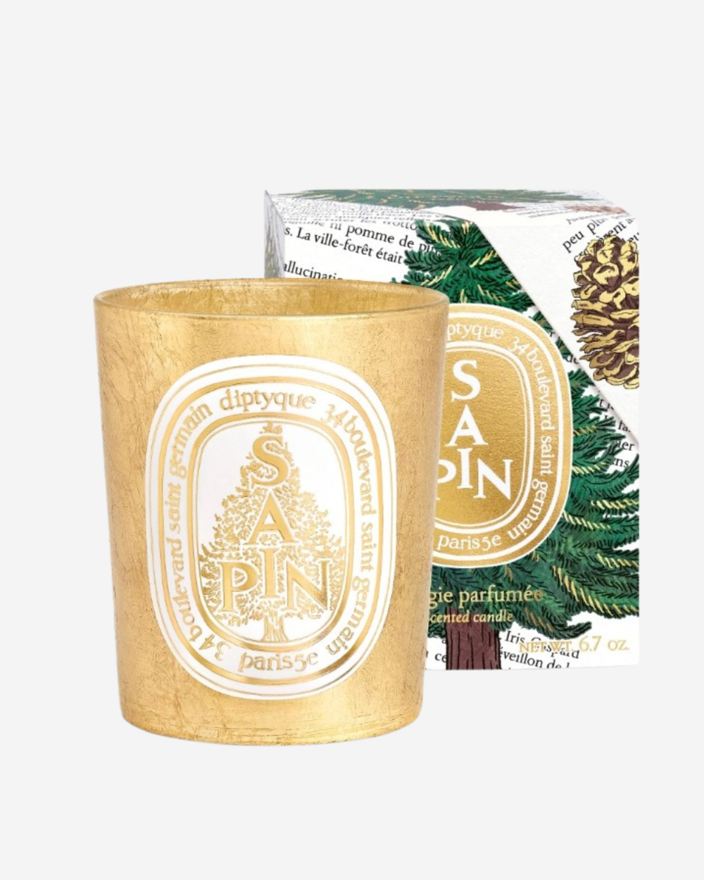 Sapin Candela