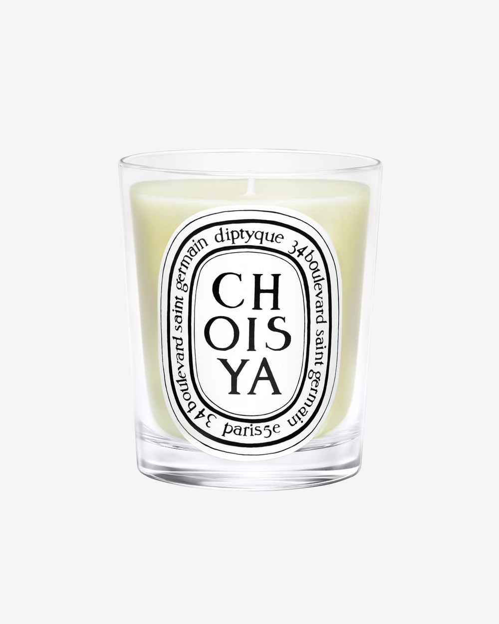 Choisya Candela