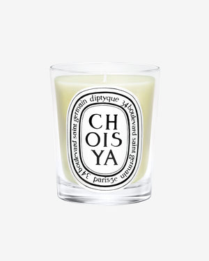 Choisya Candela