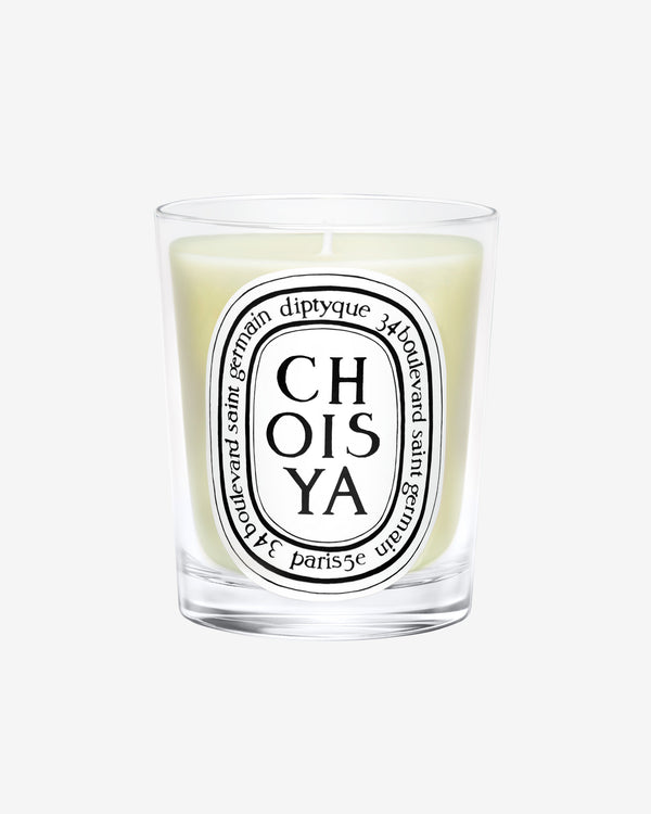 Choisya Candela