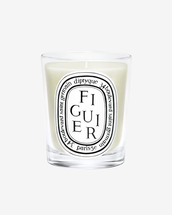 Figuier Candela