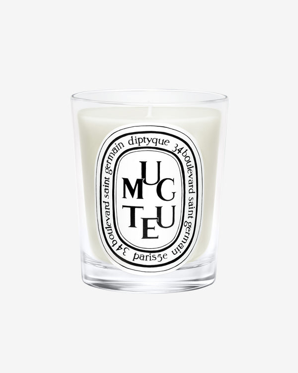 Muguet Candela