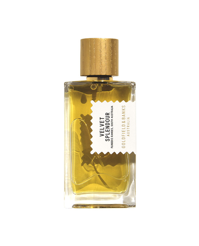 velvet-speldour-buy-online-on-spray-parfums